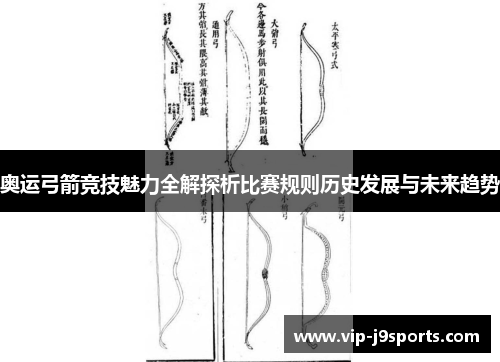奥运弓箭竞技魅力全解探析比赛规则历史发展与未来趋势